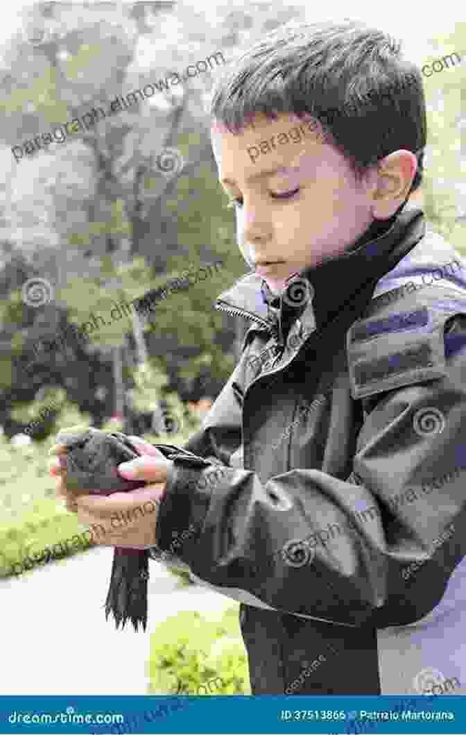 A Black And White Photo Of Jack London Holding A Baby Bird In His Hands, With The Caption 'My Baby Birdie Buddy'. My Baby Birdie Buddy Jack London