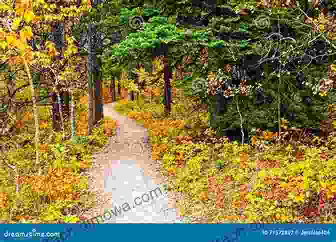 A Hiker Admiring The Vibrant Fall Foliage On A Trail AMC S Best Day Hikes Near Philadelphia: Four Season Guide To 50 Of The Best Trails In Eastern Pennsylvania New Jersey And Delaware