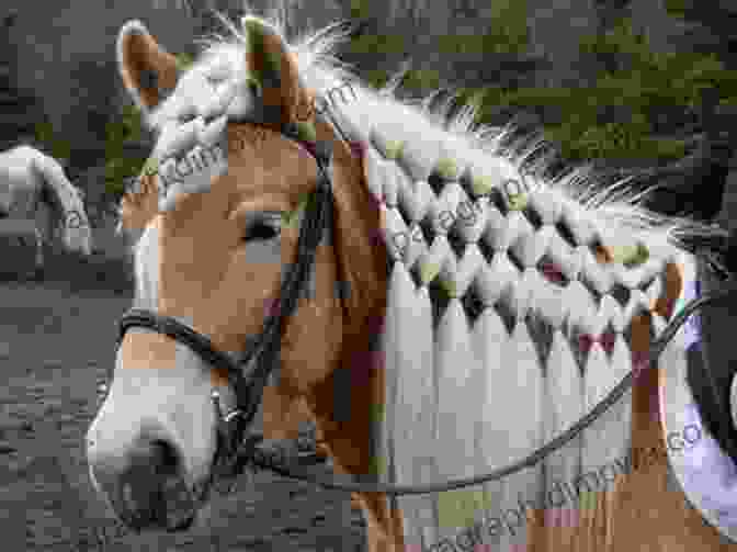 A Horse With A Beautifully Braided Mane National Geographic Readers: Gallop 100 Fun Facts About Horses (L3)