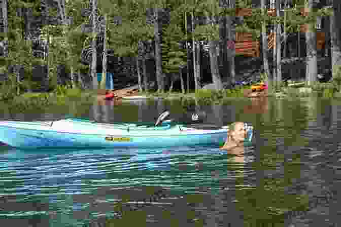 A Sit Inside Recreational Kayak In A Serene Lake Recreational Kayak Buyers Guide Jaime M Weiner