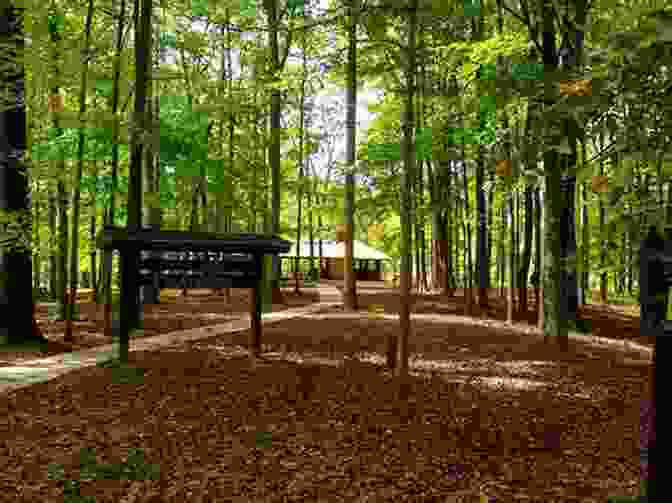 A Tent Nestled Amidst Trees At A Campsite In Indiana's Yellowwood State Forest The Complete Guide To Indiana State Parks