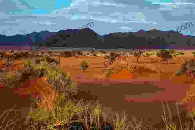 A Vast Expanse Of The Namib Desert Under A Brilliant Blue Sky THIS Is Africa J Peter Fitzgerald