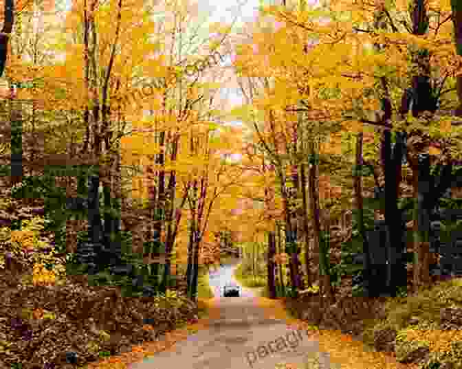 Autumn Foliage In Connecticut's Rolling Hills [Photo: Chris Unger / Unsplash] East Coast States 3 Olivia Greenwood