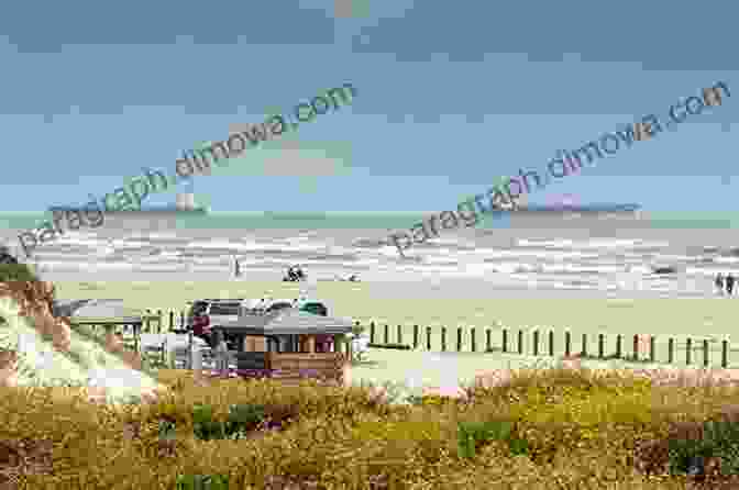 Beach Goers Enjoying The Sun And Sand In Port Aransas, Texas Port Aransas (Images Of America)