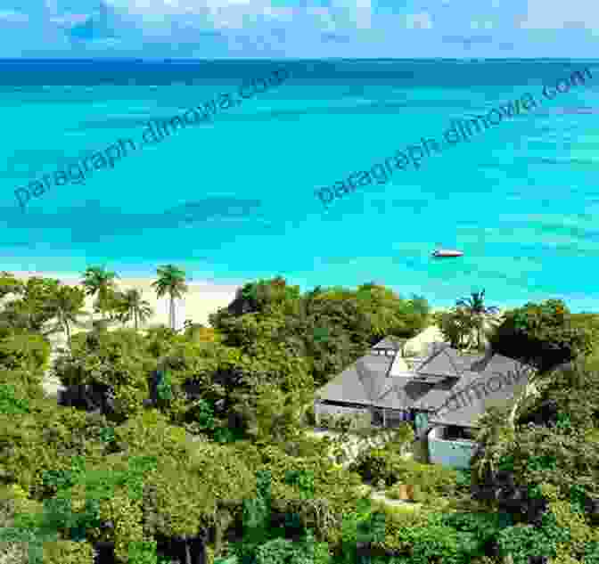 Cacilda Standing On A Pristine Beach In Mozambique, Surrounded By Lush Vegetation And Turquoise Waters. Cacilda Adventures In Paradise: Mozambique (Volume One 1)