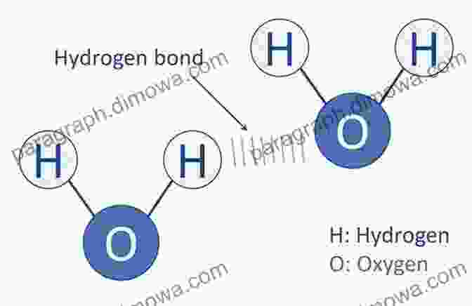 Hydrogen Bonding Schematic Hydrogen Bonding In Polymeric Materials