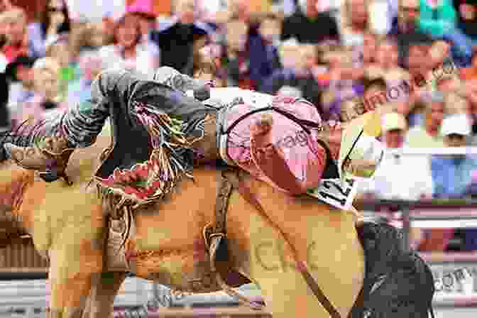 Jake Maddox Riding A Wild Horse In A Rodeo Arena Cowboy Up (Jake Maddox Sports Stories)