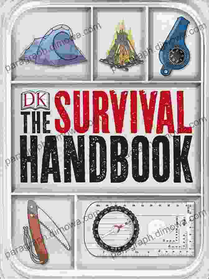 Memphis Mini Survival Guide Book Cover Memphis Mini Survival Guide Jan Hayes