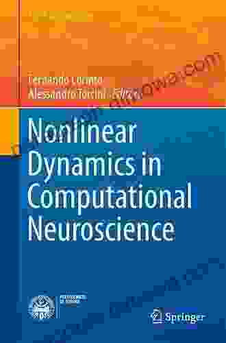 Nonlinear Dynamics In Computational Neuroscience (PoliTO Springer Series)