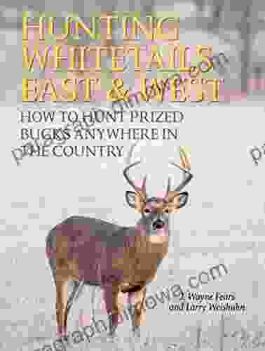 Hunting Whitetails East West: How To Hunt Prized Bucks Anywhere In The Country