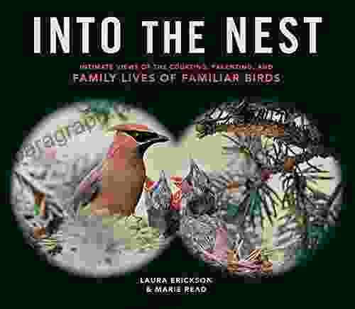 Into The Nest: Intimate Views Of The Courting Parenting And Family Lives Of Familiar Birds