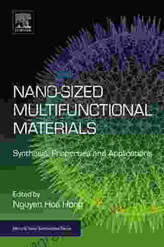 Nano Sized Multifunctional Materials: Synthesis Properties And Applications (Micro And Nano Technologies)