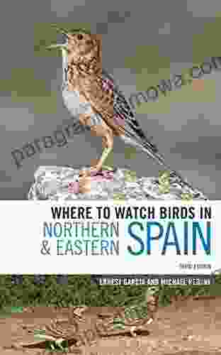 Where To Watch Birds In Northern And Eastern Spain