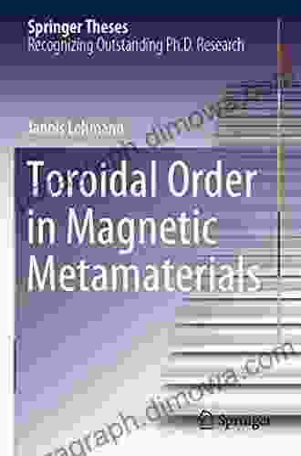 Toroidal Order in Magnetic Metamaterials (Springer Theses)