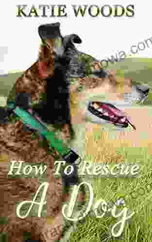 How To Rescue A Dog: Four Essentials For A Happy And Contented Shelter Dog And Owner