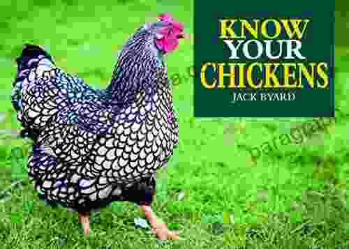 Know Your Chickens Jack Byard