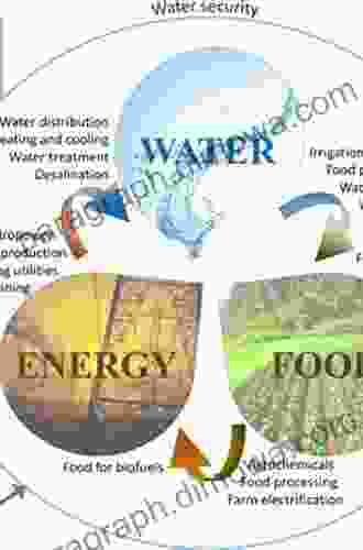 Grasping the Water Energy and Food Security Nexus in the Local Context: Case study: Karawang Regency Indonesia (IHE Delft PhD Thesis Series)